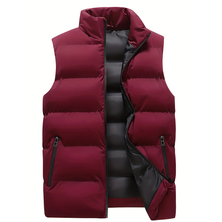 Heren gewatteerde bodywarmer met doorgestikte panelen 3