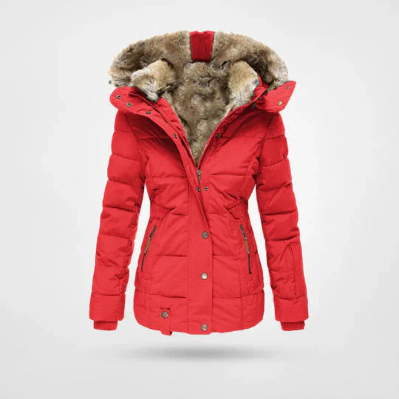 Dames Winterjas Met Gevoerde Capuchon En Dubbele Sluiting in Rood