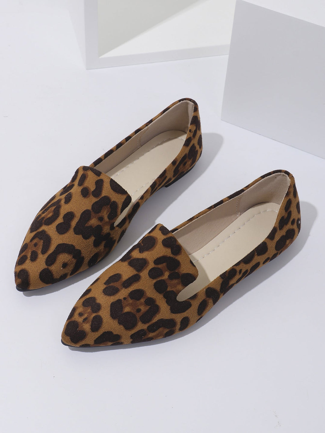 Dames Puntige Ballerina&
